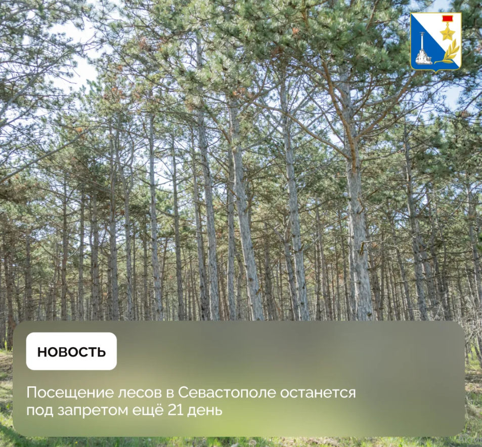 Изображение новости